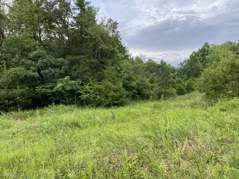 0 Johnson Ln, Loretto, TN 38469 photo 20