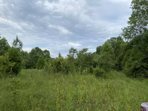 0 Johnson Ln, Loretto, TN 38469 photo 24