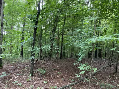 0 Johnson Ln, Loretto, TN 38469 photo 16