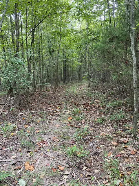 0 Johnson Ln, Loretto, TN 38469 photo 32