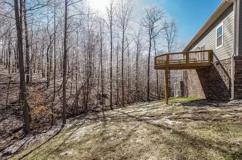 809 Ruby Way, White Bluff, TN 37187 photo 55