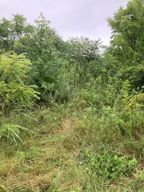 0 Lee Davidson Rd, Bon Aqua, TN 37025