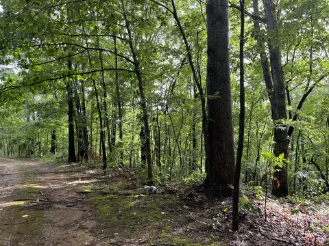 0 S Of Ellison Goolsby Ln E, Bloomington Springs, TN 38545