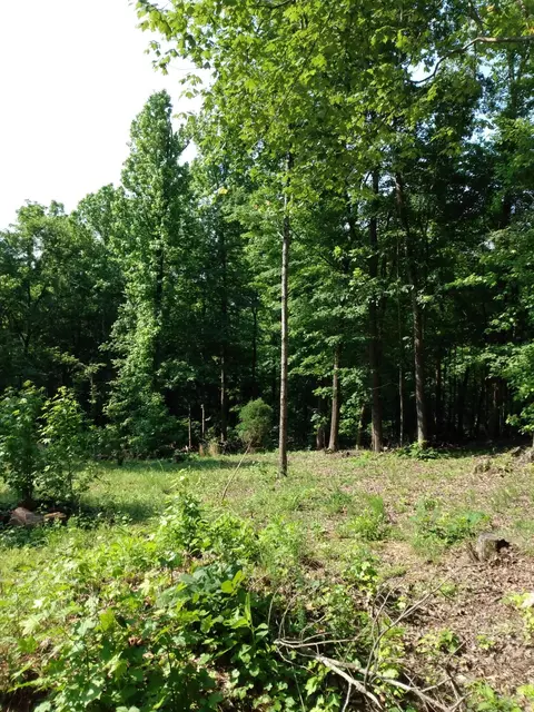 418 Oak Tree Rd, Spring City, TN 37381