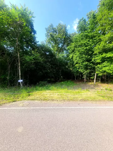 2 S Hinton Rd, Southside, TN 37171