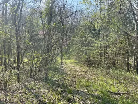 0 Dry Holw, Dickson, TN 37055