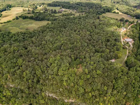 0 Three Is, Walling, TN 38587 photo 17
