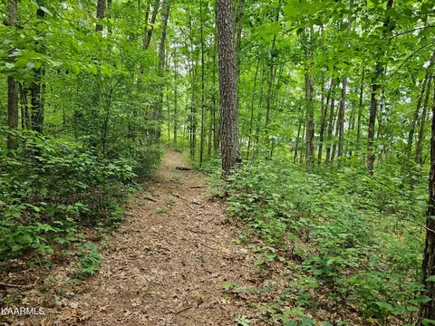 0 Dye Rd, Clarkrange, TN 38553 photo 7