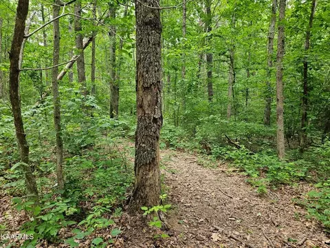0 Dye Rd, Clarkrange, TN 38553 photo 10