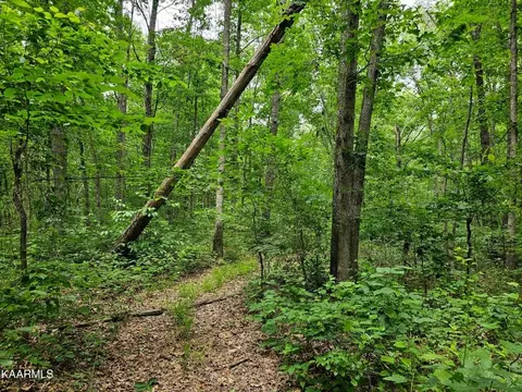 0 Dye Rd, Clarkrange, TN 38553 photo 8