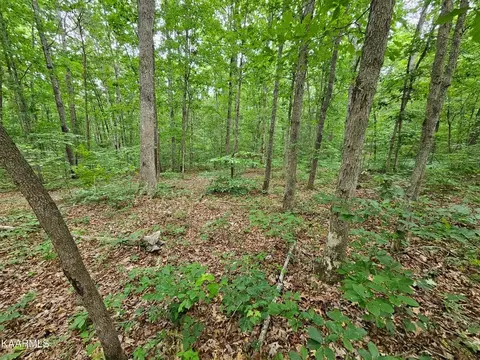 0 Dye Rd, Clarkrange, TN 38553 photo 2