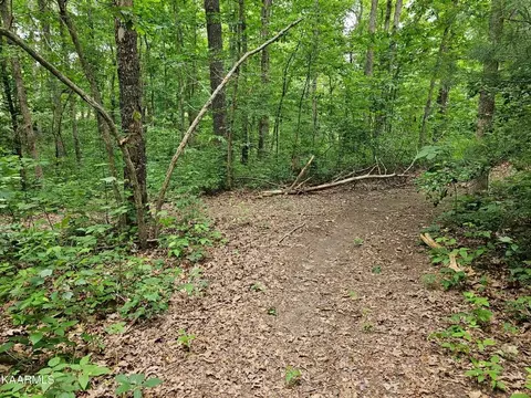 0 Dye Rd, Clarkrange, TN 38553 photo 6