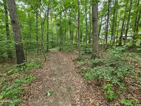 0 Dye Rd, Clarkrange, TN 38553 photo 3
