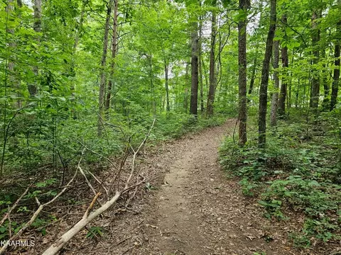 0 Dye Rd, Clarkrange, TN 38553 photo 11