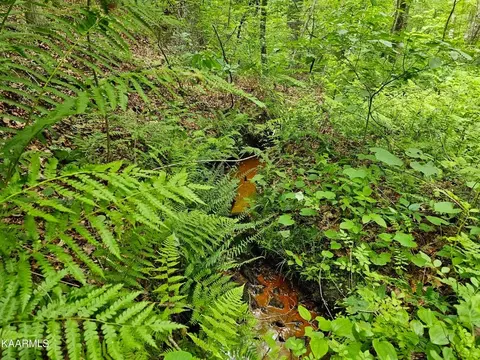 0 Dye Rd, Clarkrange, TN 38553 photo 4