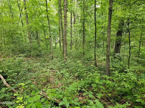 0 Dye Rd, Clarkrange, TN 38553 photo 9