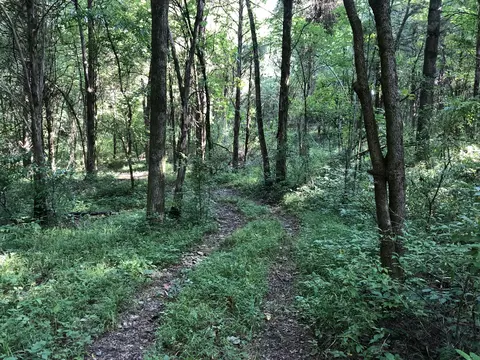 0 Newcut Rd, Columbia, TN 38401
