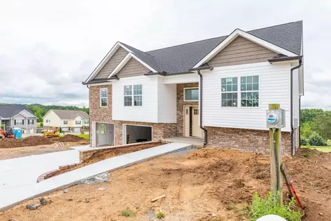 10036 Prissy Ln, Harrison, TN 37341 photo 6