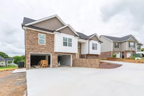 10036 Prissy Ln, Harrison, TN 37341 photo 3