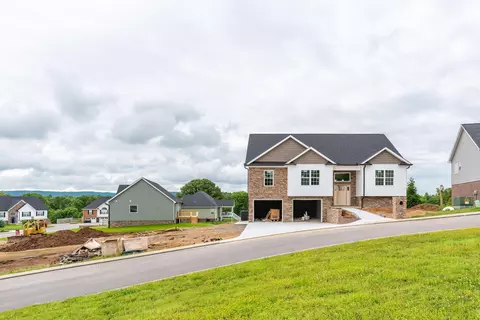 10036 Prissy Ln, Harrison, TN 37341 photo 4
