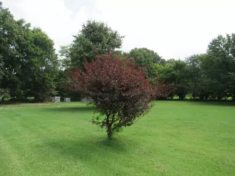 1 Lakeview Rd, Springfield, TN 37172 photo 27