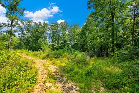 2561 Trophy Buck Trl, Soddy Daisy, TN 37379