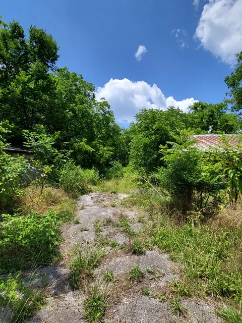 6645 E Buckeye Bottom Rd, Murfreesboro, TN 37129 photo 13