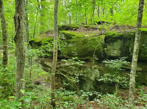 0 Sr 56, Beersheba Springs, TN 37305