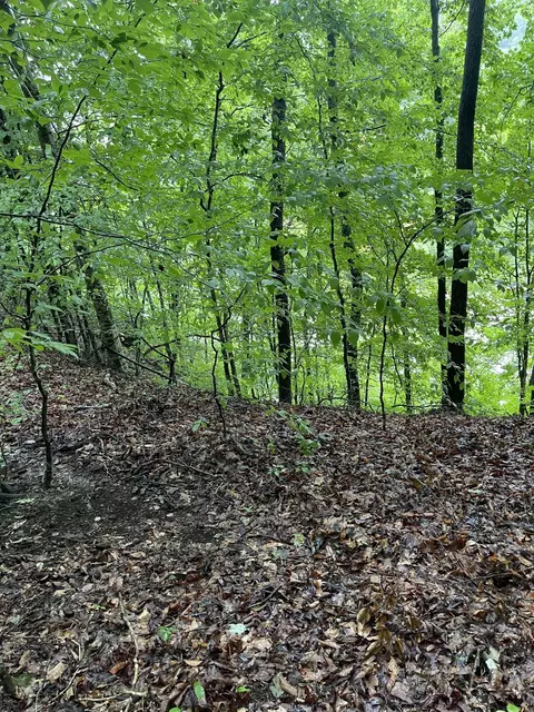 0 E Port Dock Rd, Alpine, TN 38543