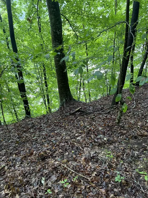 0 E Port Dock Rd, Alpine, TN 38543 photo 2