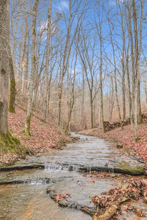 0 N Fork Dr, Ashland City, TN 37015