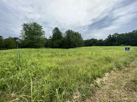 0 Bear Creek Rd, Collinwood, TN 38450