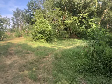 793 Spring Cir, Springfield, TN 37172 photo 3