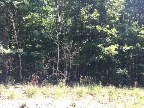 48 Ridge Cliff Dr, Monteagle, TN 37356