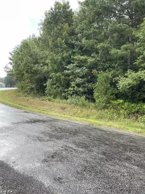 32 Ashmore Rd, Summertown, TN 38483