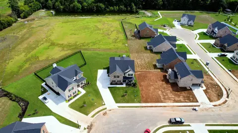 15539 Black Eagle Way, Eagleville, TN 37060 photo 61