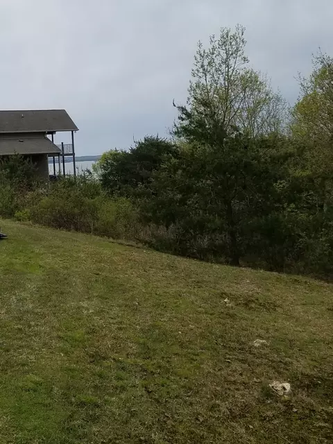 210 Turtle Point Ln, Waverly, TN 37185 photo 3