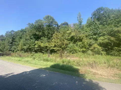 210 Turtle Point Ln, Waverly, TN 37185 photo 21