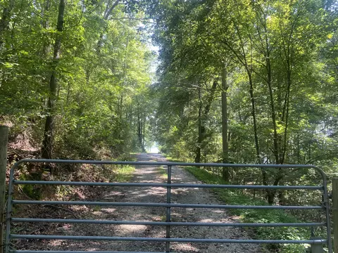210 Turtle Point Ln, Waverly, TN 37185 photo 16