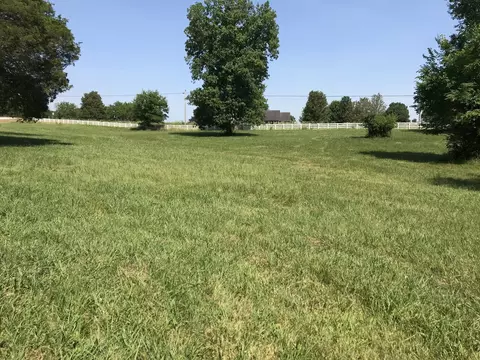 4710 Eagleville Pike #LOT 4, Chapel Hill, TN 37034