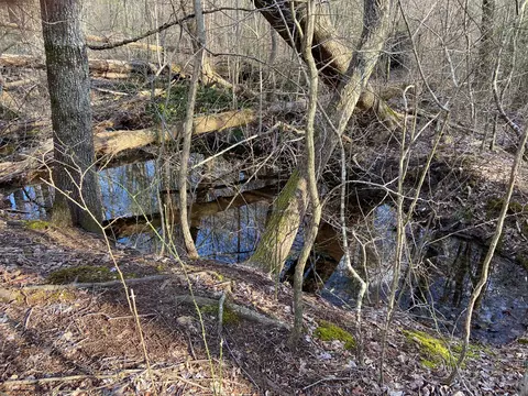 0 Bluffs At Rocky Rdg, Sparta, TN 38583