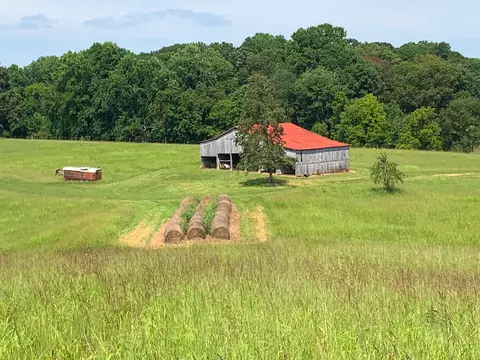 1000 Screamer Rd, Lynnville, TN 38472