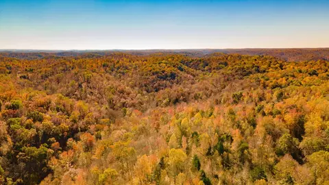 3710 River Rd, Ashland City, TN 37015