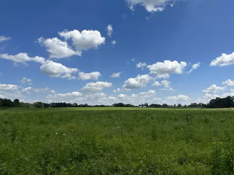 0 Old North Military Lot #1, Summertown, TN 38483
