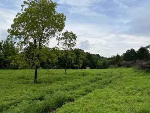 6820 Greenvale Rd, Watertown, TN 37184