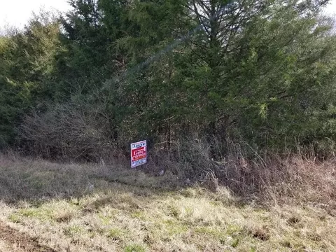 0 Hwy 53, Alexandria, TN 37012