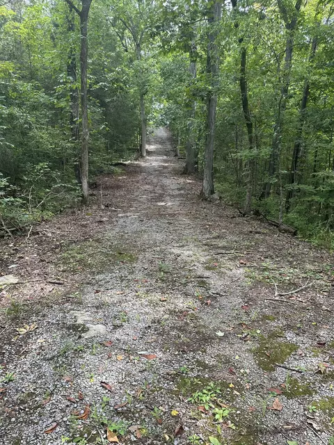 0 Loftis Dr, Smithville, TN 37166