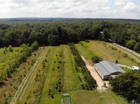 1896 Colony Rd, Coalmont, TN 37313