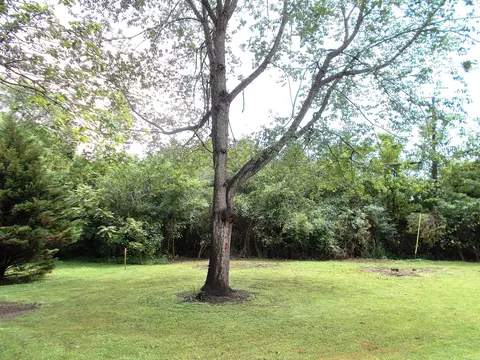 108 June Dr, Dickson, TN 37055 photo 31