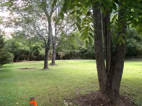 108 June Dr, Dickson, TN 37055 photo 39